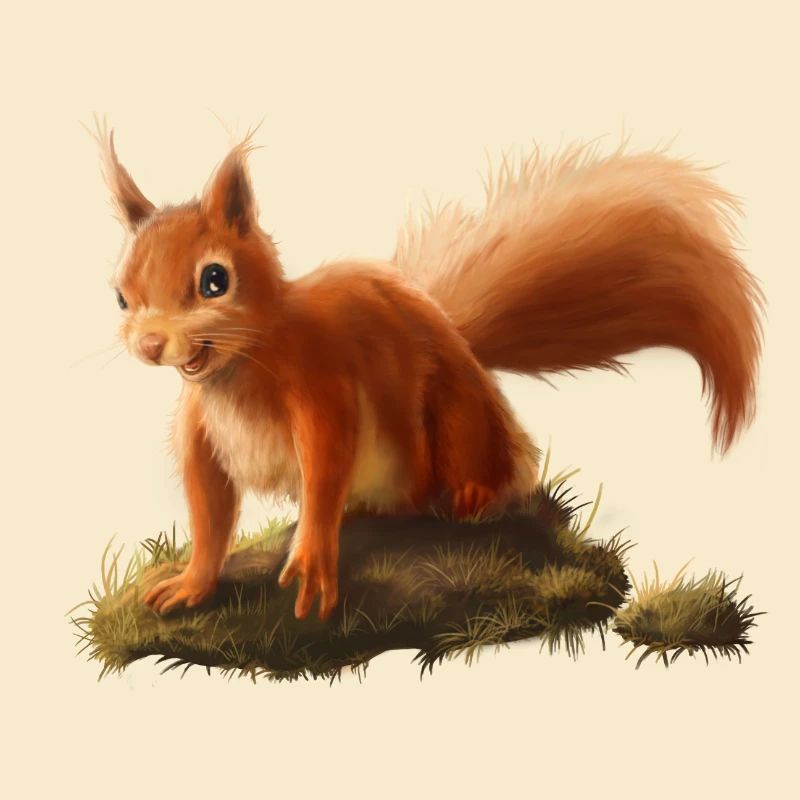 Kleines Eichhörnchen