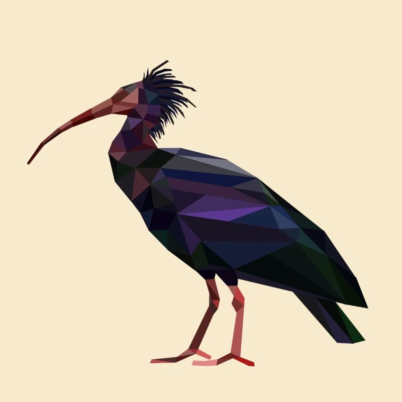 Waldrapp