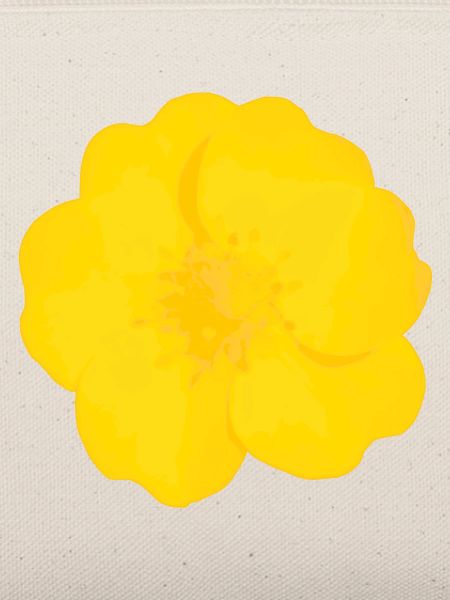 Buttercup Bold