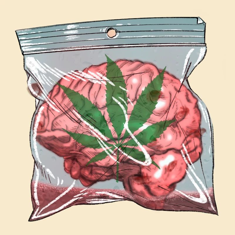 Brain