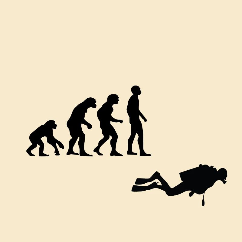 Plongée évolution