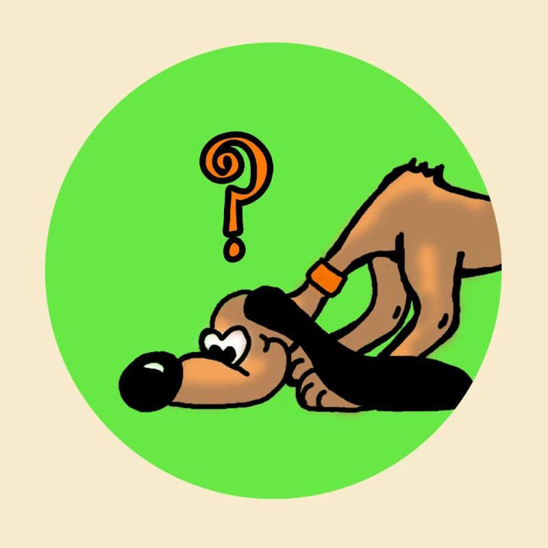 Suchhund hund