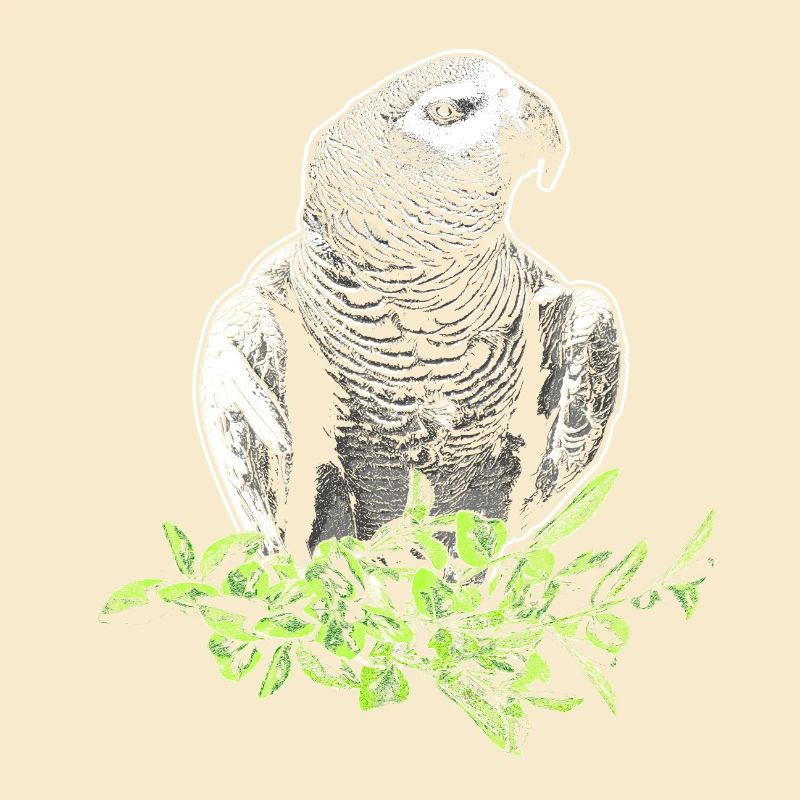 Graupapagei
