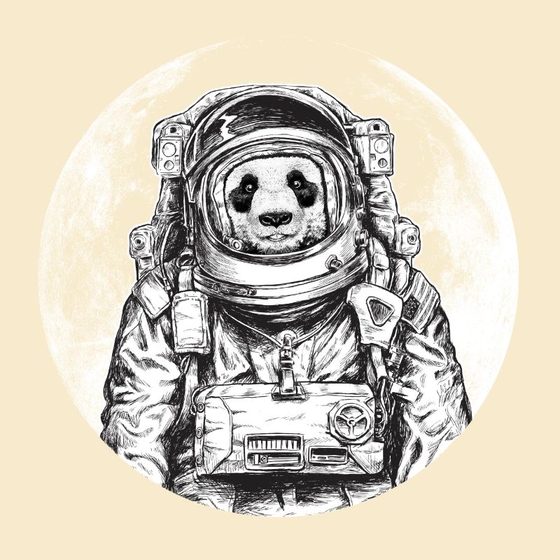 Panda astronaut bear moon wildlife space