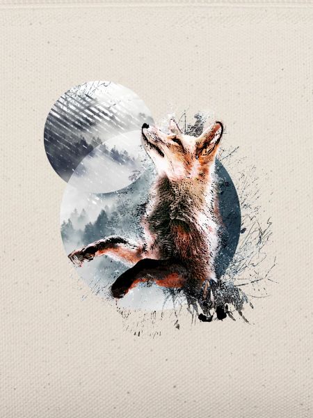 Fuchs im Mondschein