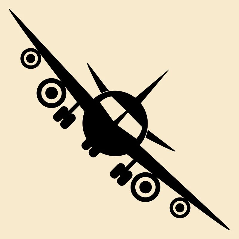Fly a plane