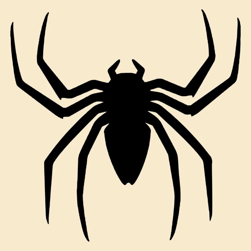Black spider halloween gift idea