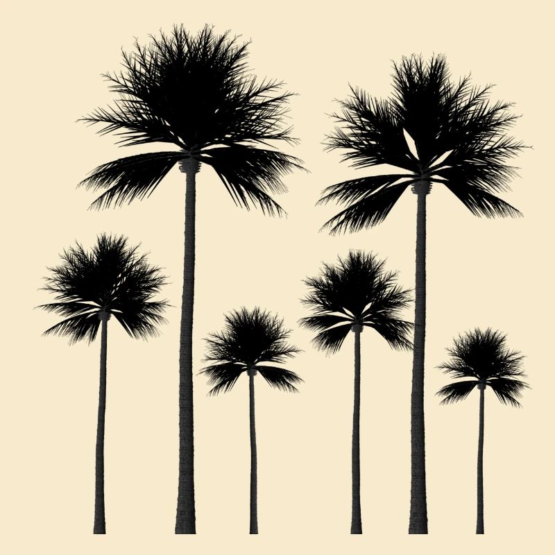 Palmen Silhouette Sommer Geschenk