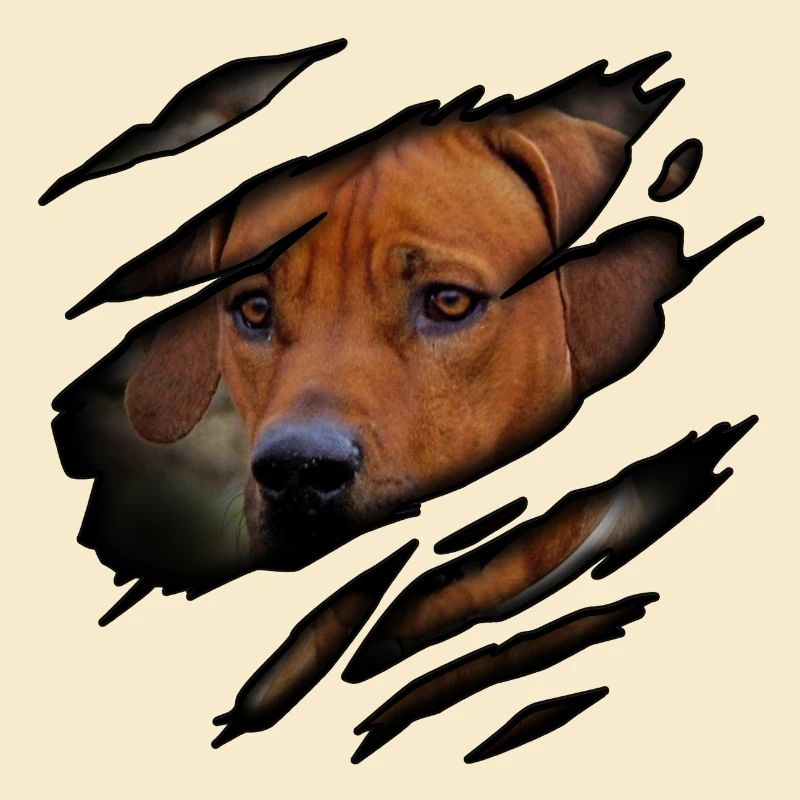 Rhodesian Ridgeback in mir