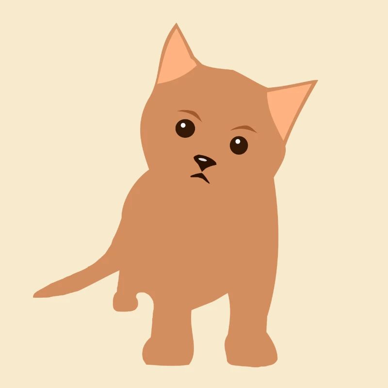 Chaton brun