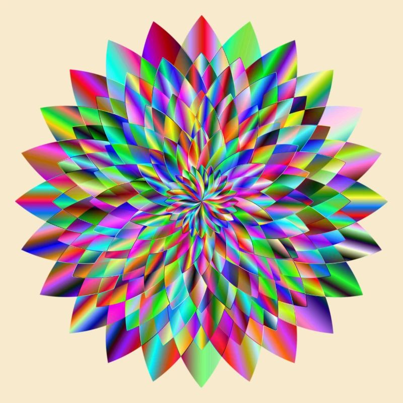 modèle circulaire