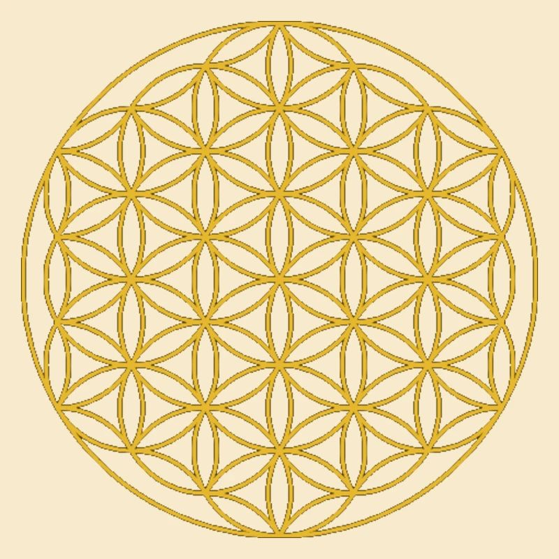 Circles flowers sacred geometry