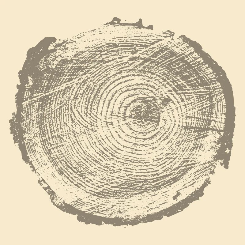 Baum Holz Jahresringe