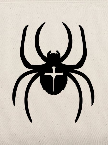 Spinne