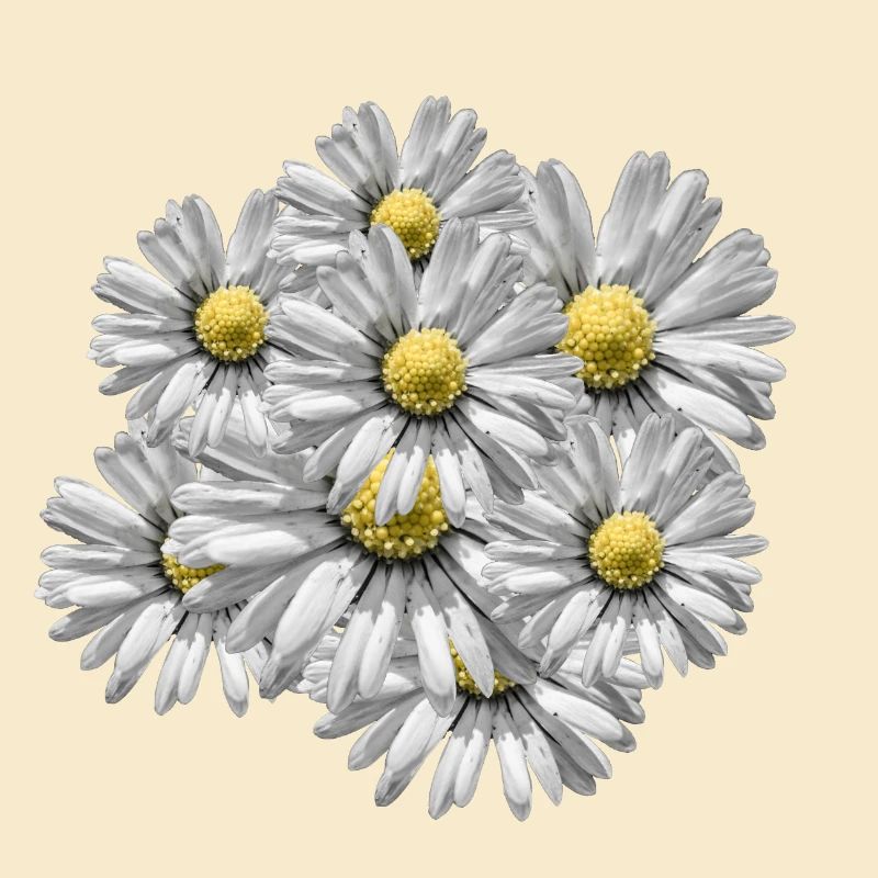 Blumenstrauß