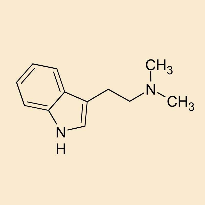 DMT Molekül