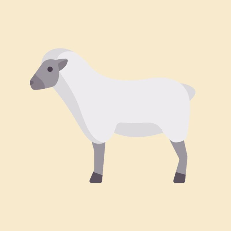 white cloud sheep