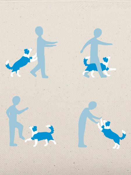 Dog Dancing 3-1