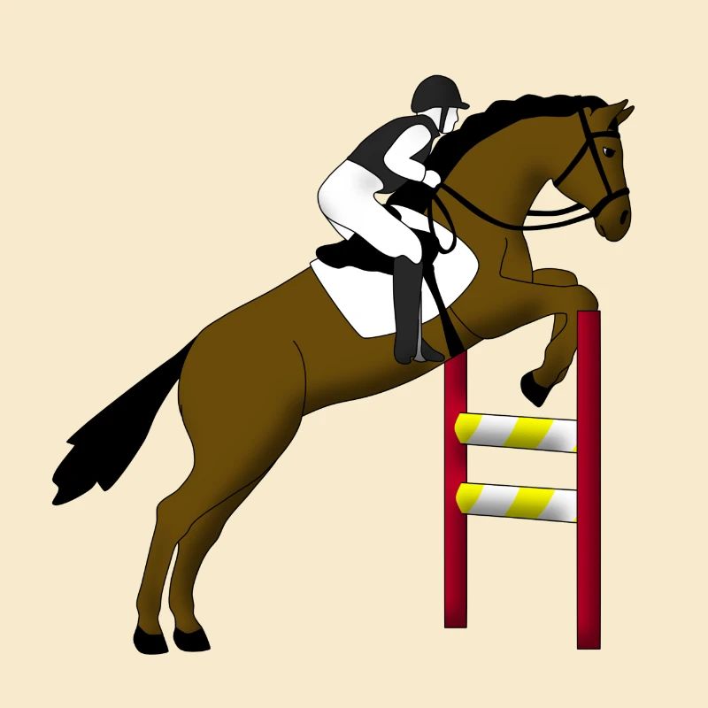 Springreiten 1
