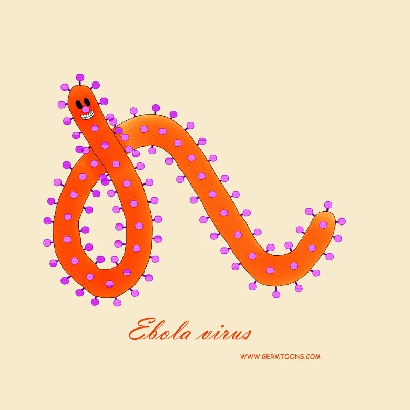 Ebola Virus