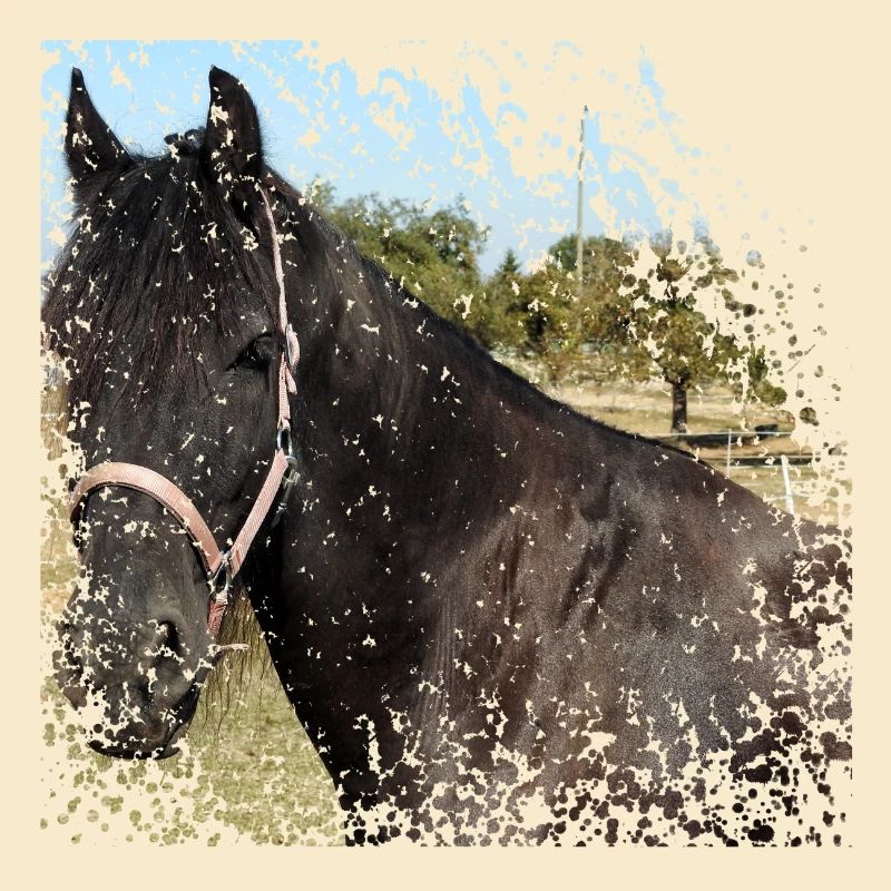 Qui ne veut pas monter sur ce cheval?