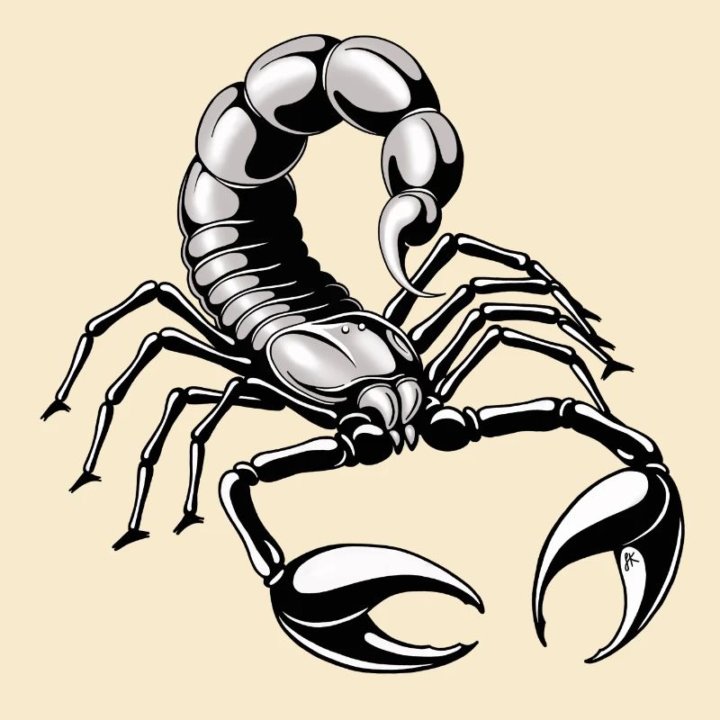 Skorpion - silber - grau