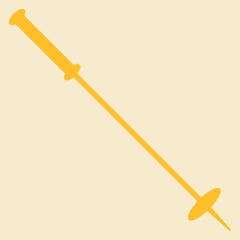 Bâton de ski