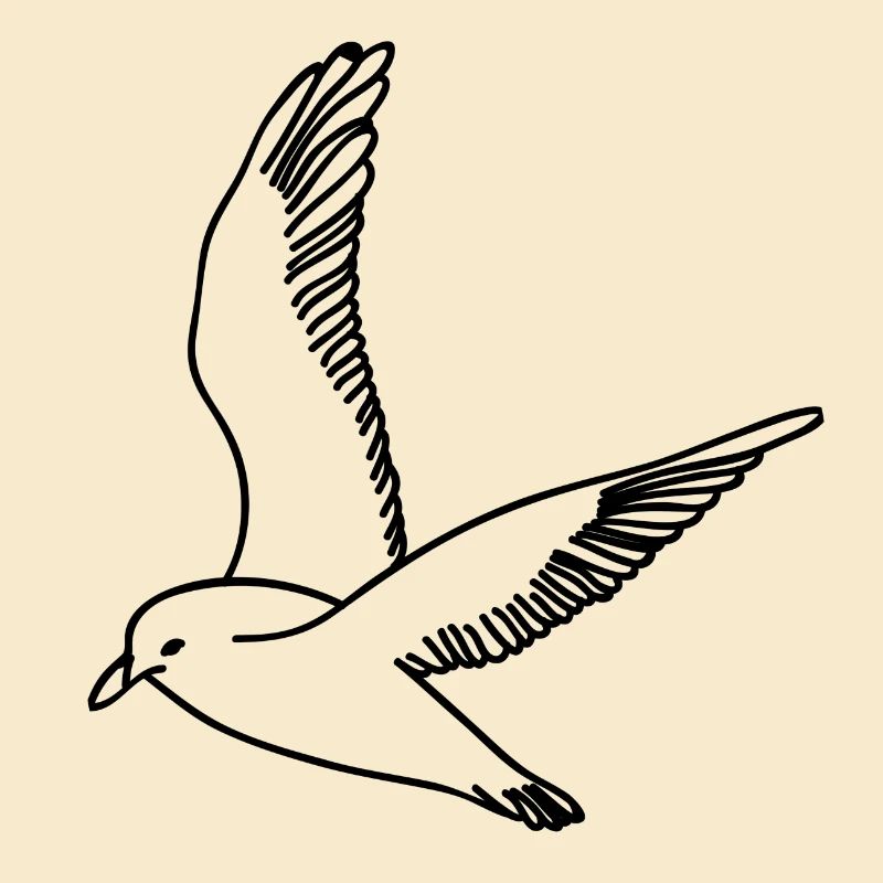 Möwe
