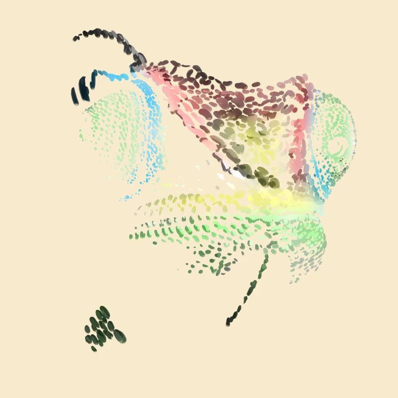 chameleon