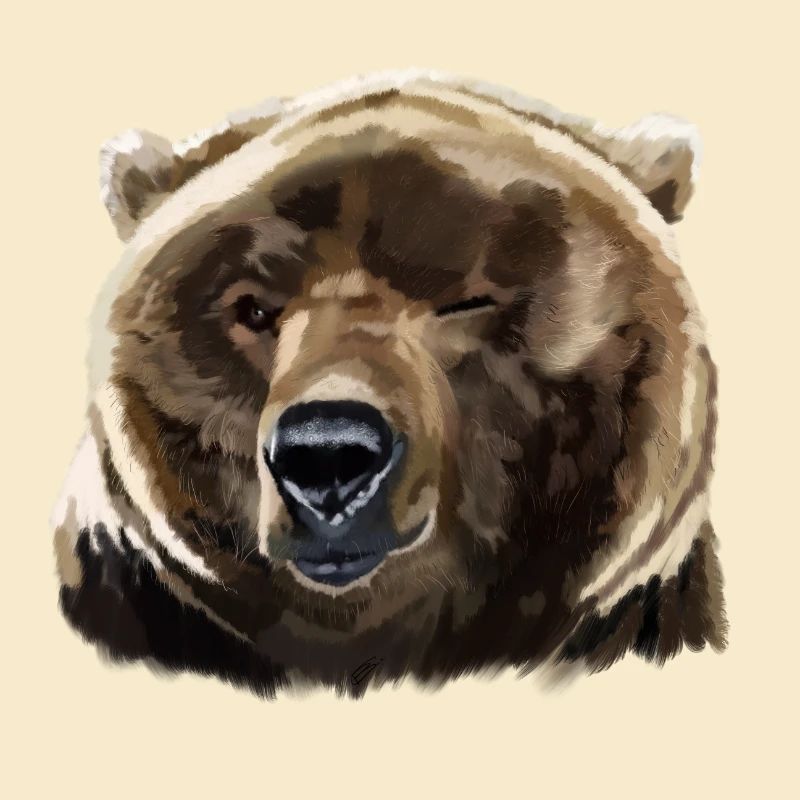 bear