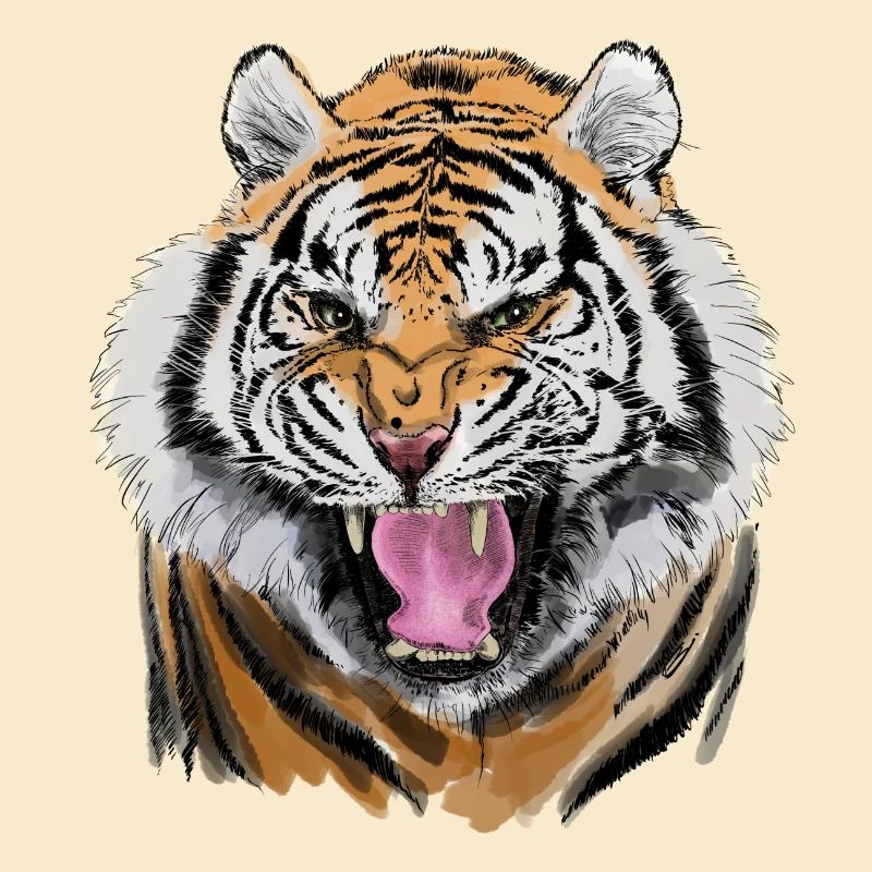 tiger