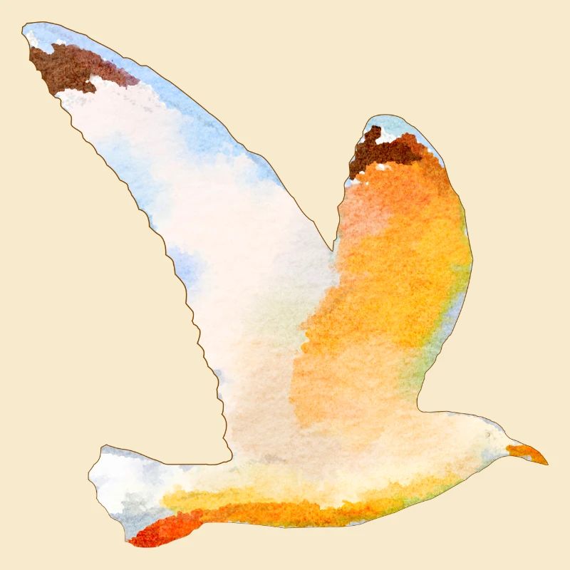Moewe im Flug Vogel Urlaub