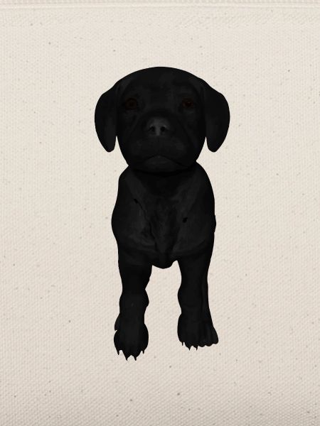 Labrador Welpen