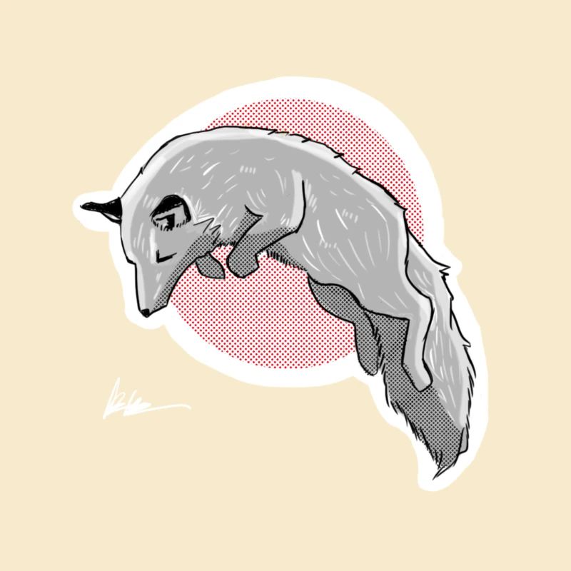 Jagd Schneefuchs