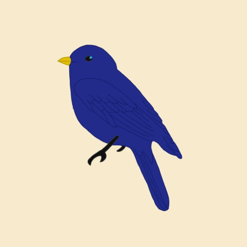Blauer Vogel