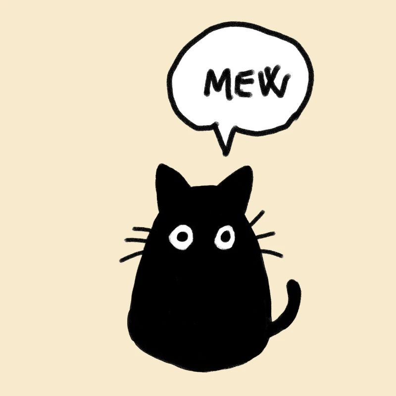 Chat