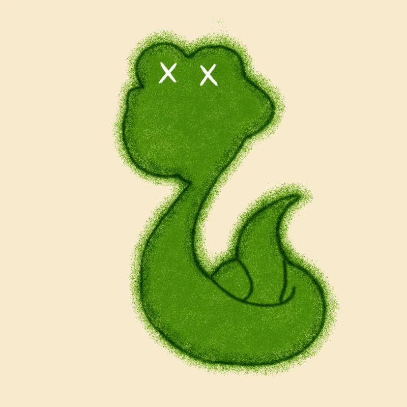 Dead Snake