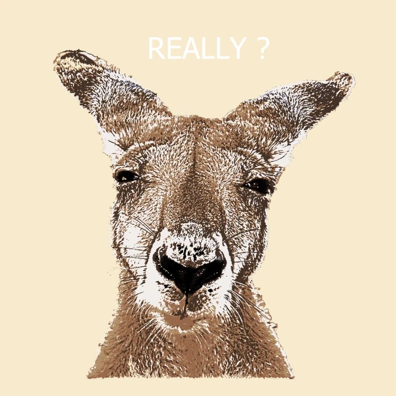 Kangaroo really?