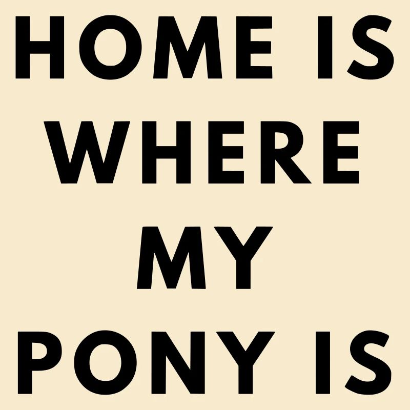 Maison de poney