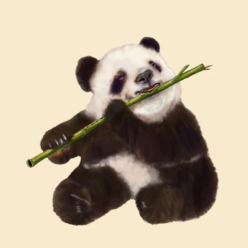 Paddy Panda