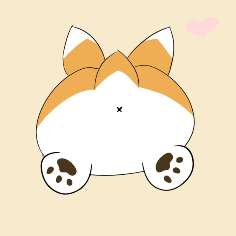CORGI BUTT