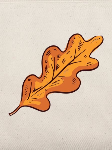 Herbstblatt Herbst Blatt