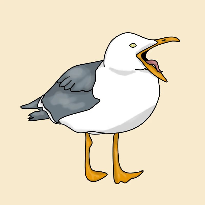 Möwe - Seagull