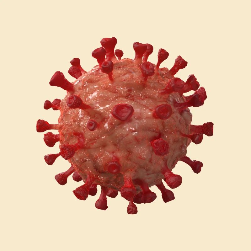 COVID 19 VirusCell