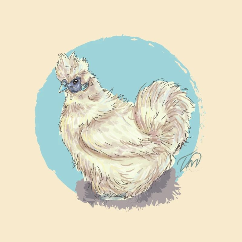 White silk hen