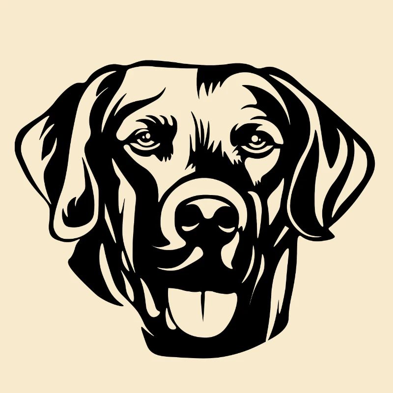 Labrador