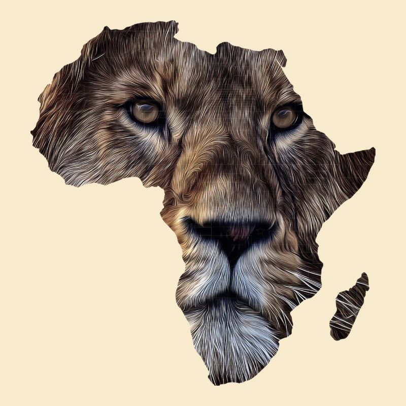Afrika Löwe