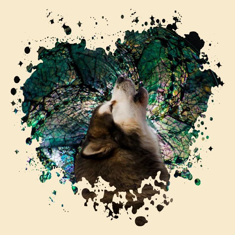 Howling malamute
