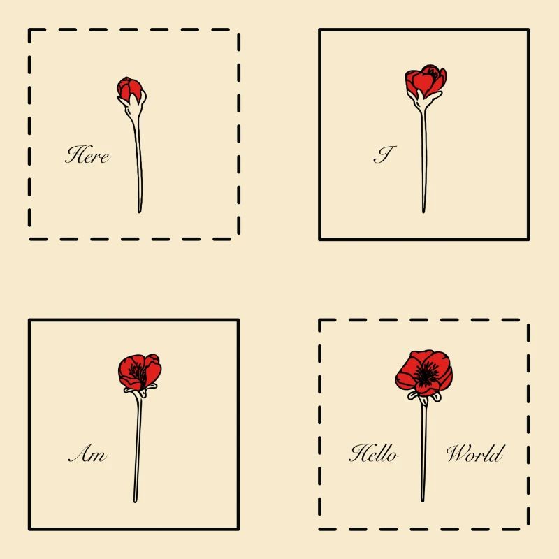 Mohnblume