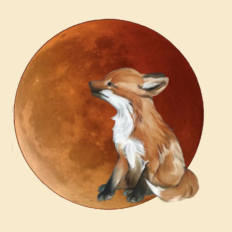 Moon fox in the evening light